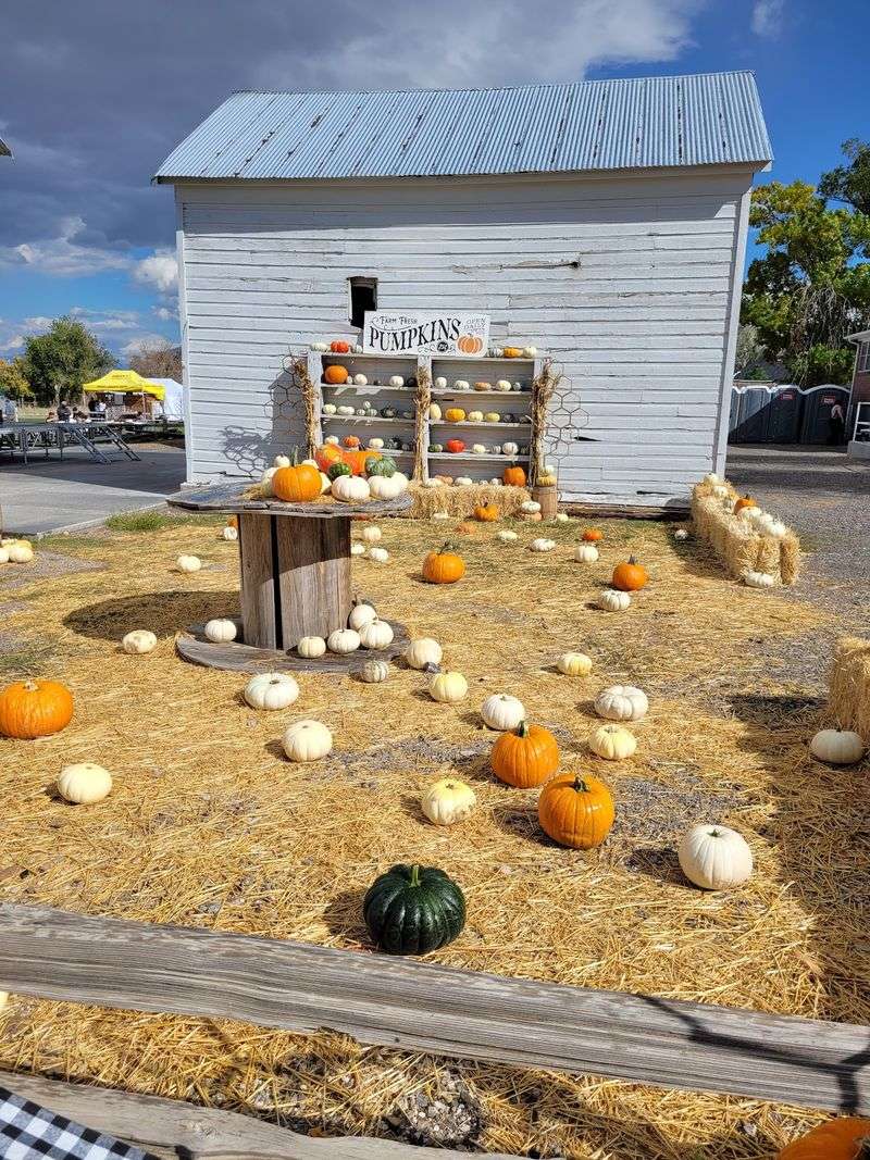 The Location Makes A Simple Saturday Detour Realistic