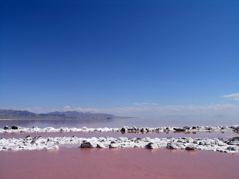 Pink Water Is Possible, But Not Promised