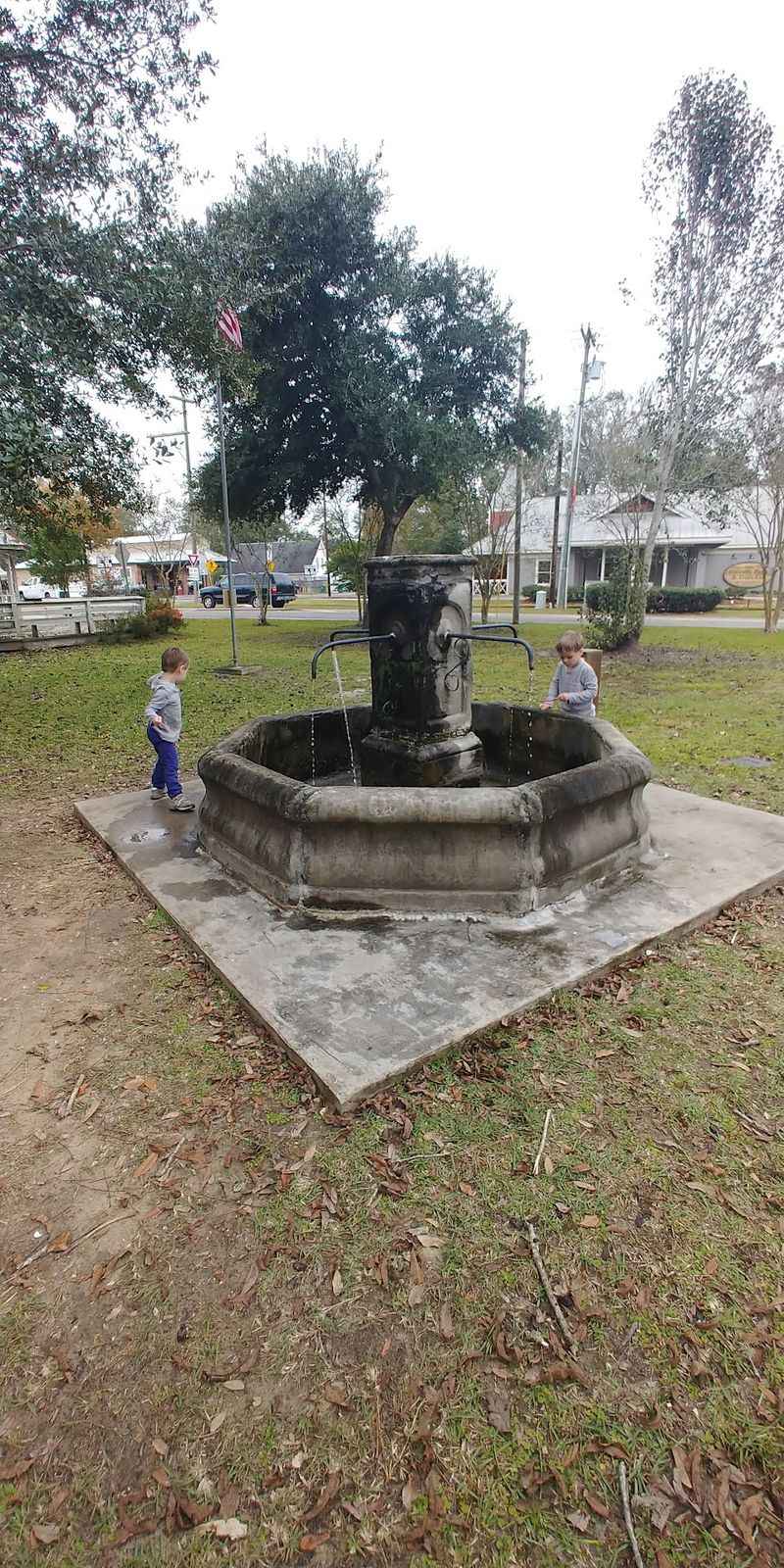 Learn The Story Of The Springs At Trailhead Park