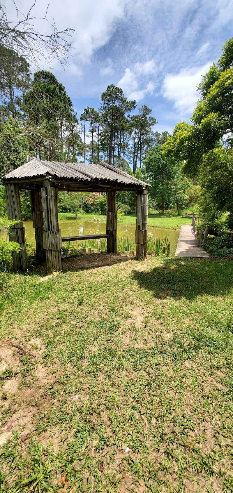 Pause Beside The Pond