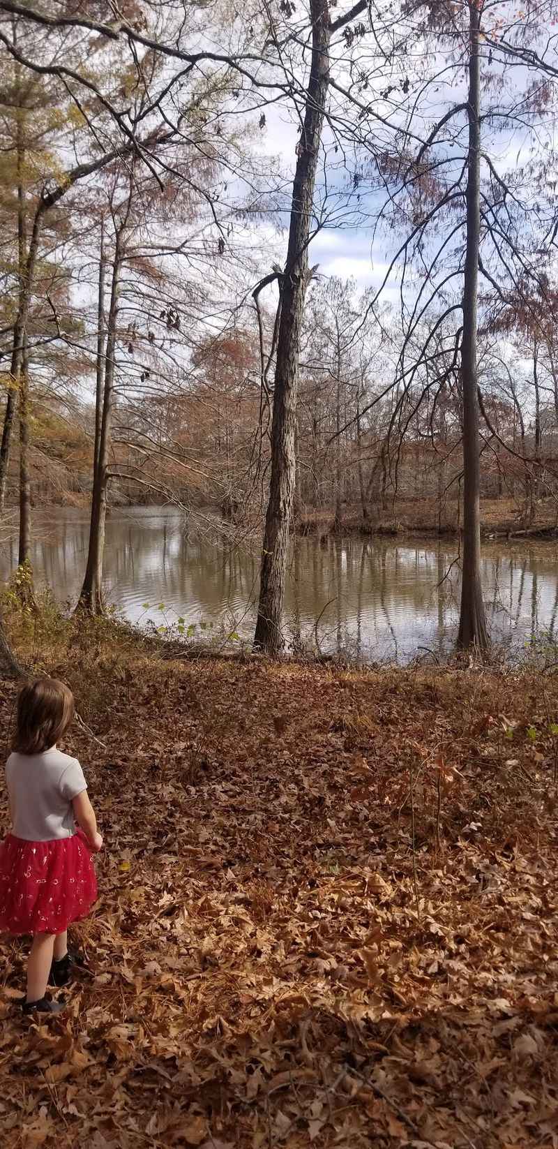 Pick Spring Or Fall If You Can
