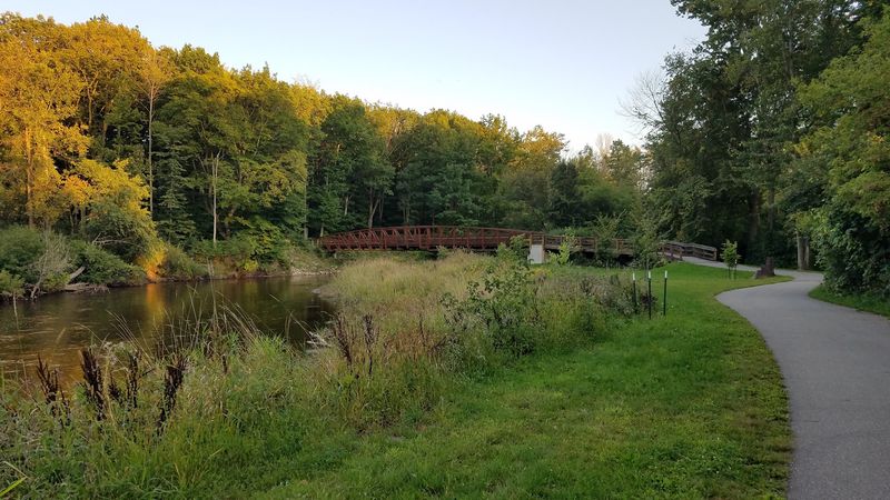 Isabella County Has A Tree-Climbing Surprise