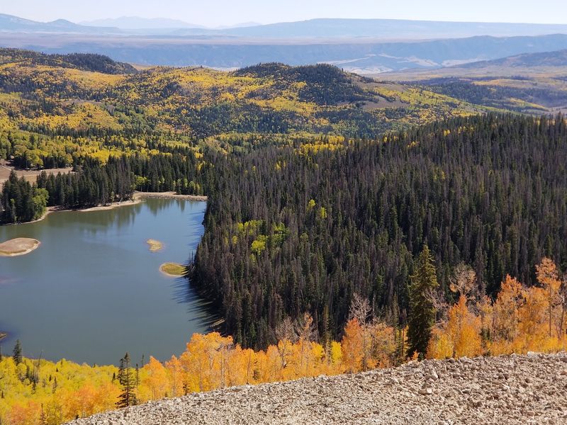 Pando Nature Trail, Fishlake National Forest