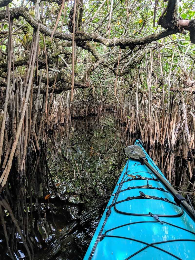 Turner River Paddling Trail, Ochopee, FL