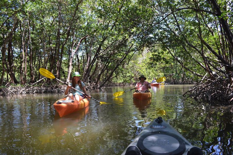 Capri Paddlecraft Park, Naples, FL