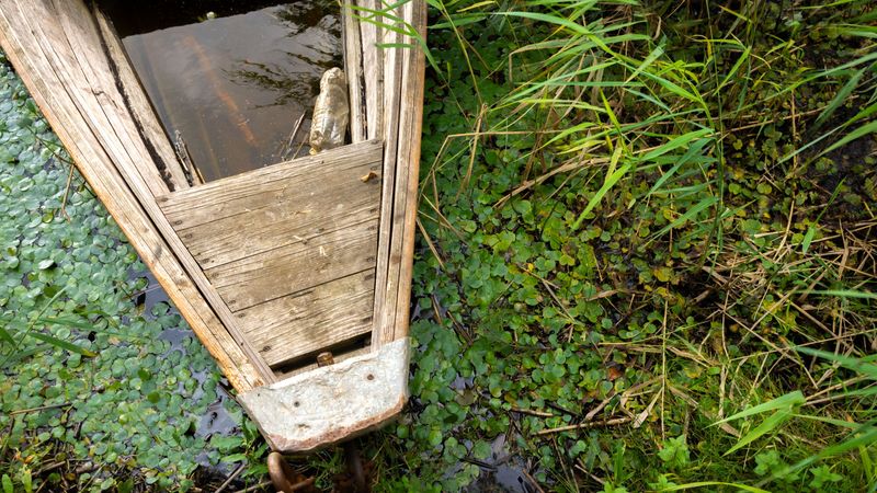 Fishing Spots That Make Lingering Easy