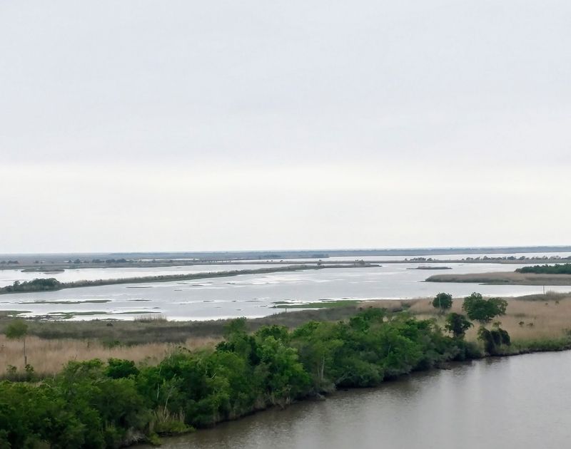Cruising The Pintail Wildlife Drive