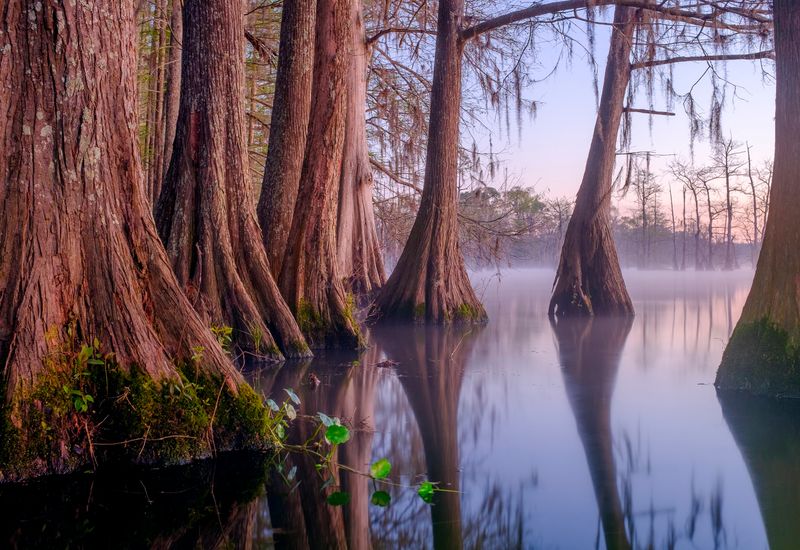 A Lake At The Heart Of Everything