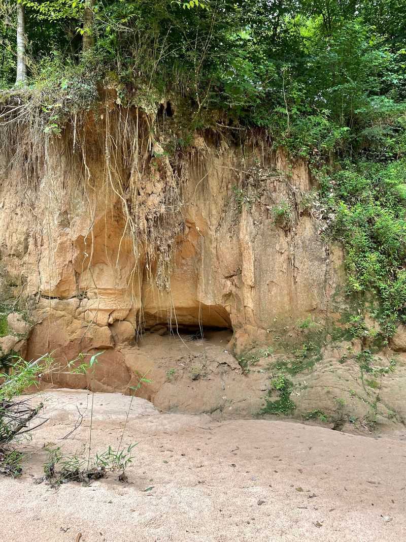 The Ice Age Story Written In The Soil