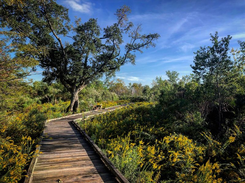 The Story Of A Wild City Sanctuary