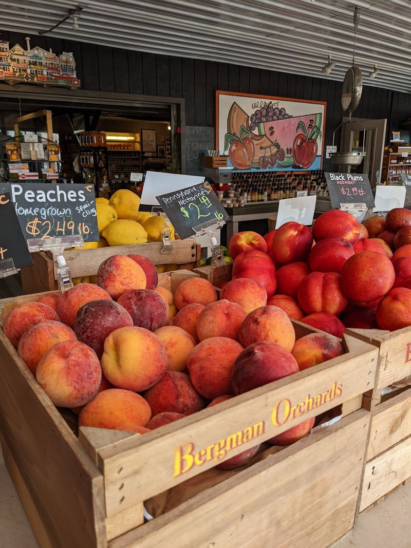 Bergman Orchards, Port Clinton, OH