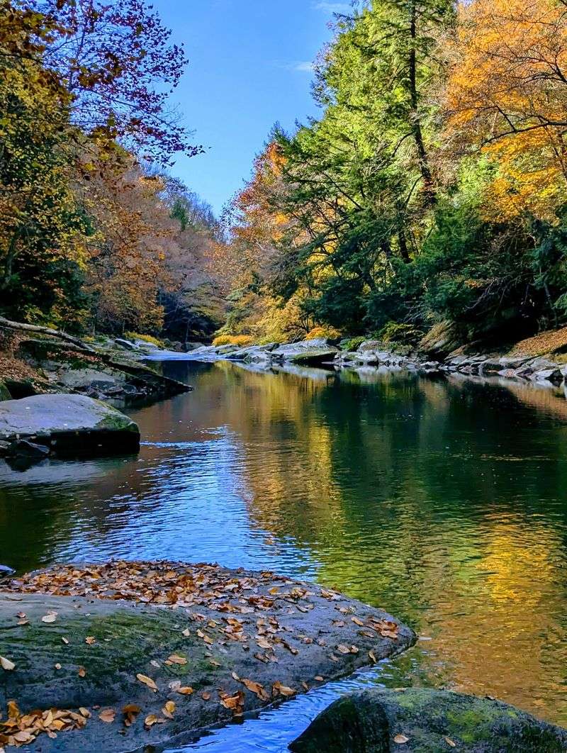 Fall Colors That Steal the Show
