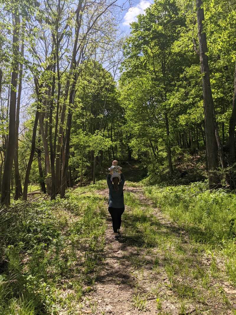 Short Trails That Respect Your Schedule
