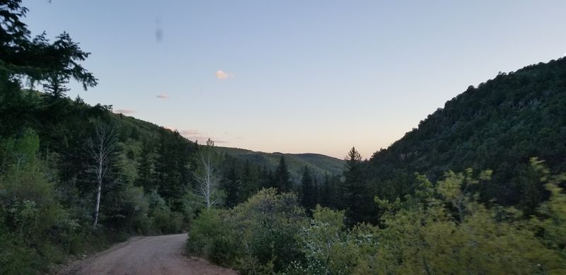 A Quiet Ending In A Forest Full Of Larger Stories