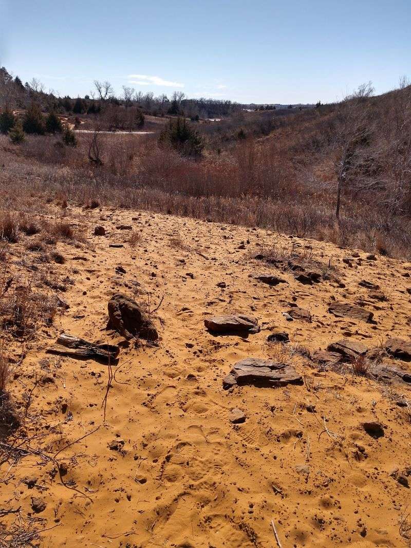 Ticks, Poison Ivy, And Other Trail Pests