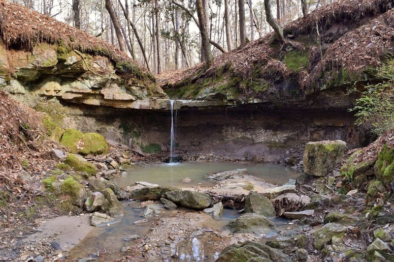 Let The Waterfall Reveal Itself Slowly