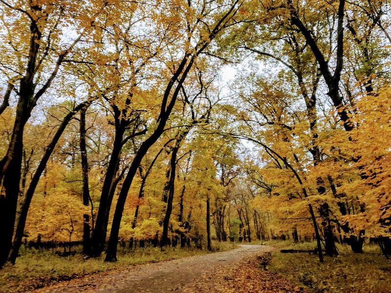 Autumn Color Along The Valley