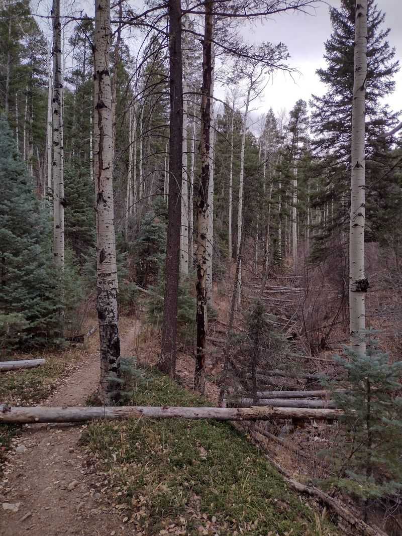 Trails Waiting to Be Explored