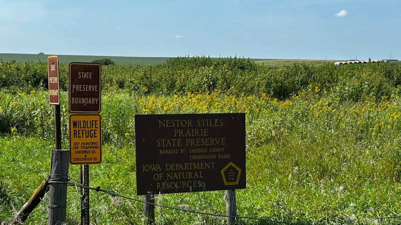 Nestor Stiles Prairie State Preserve, Aurelia