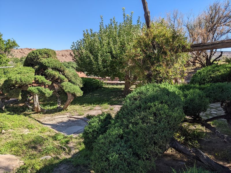 Gardens, Acequias, and Everyday Details
