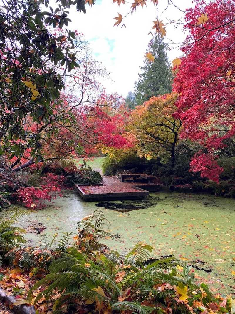 J. A. Witt Winter Garden Brings Color To The Cold