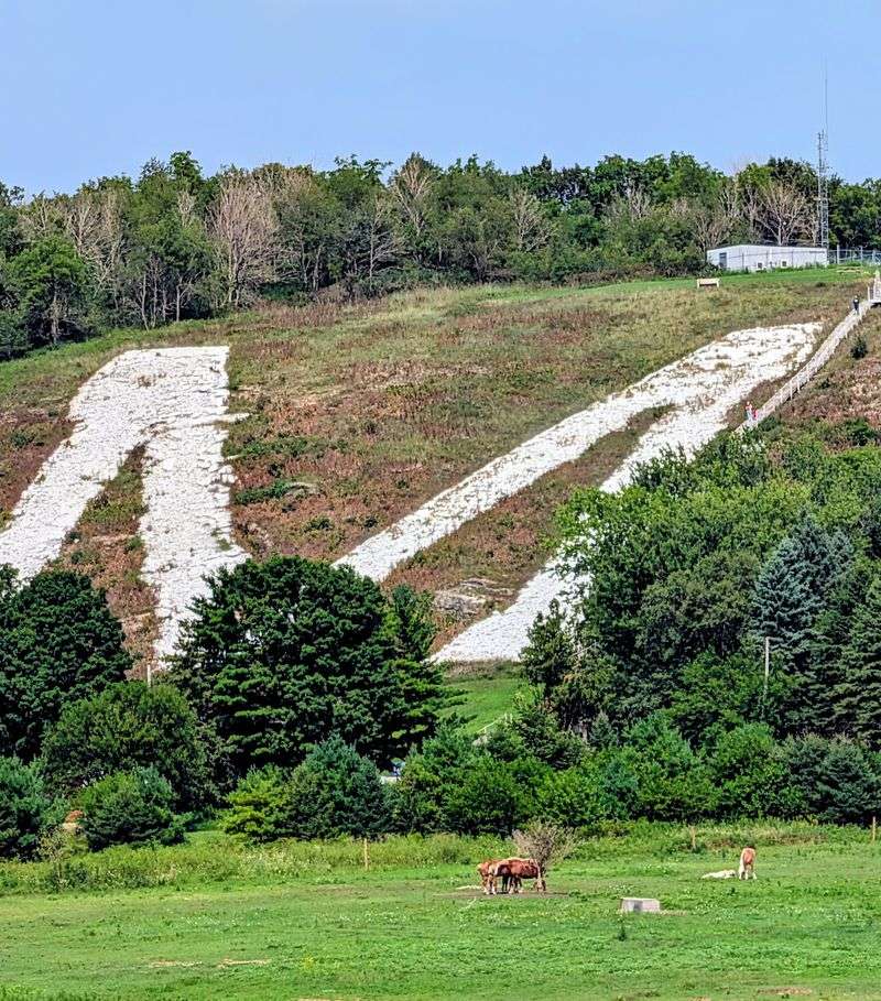 World’s Largest M