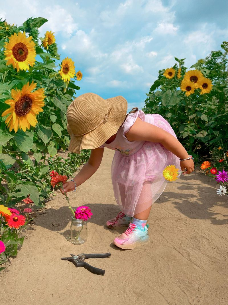 Saige Acres Flower Farm