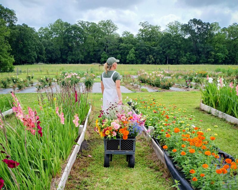 St. Rose Flower Farm