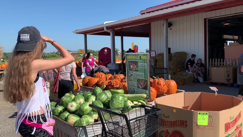 Your Next Ohio Road Trip Deserves This Sweet Detour