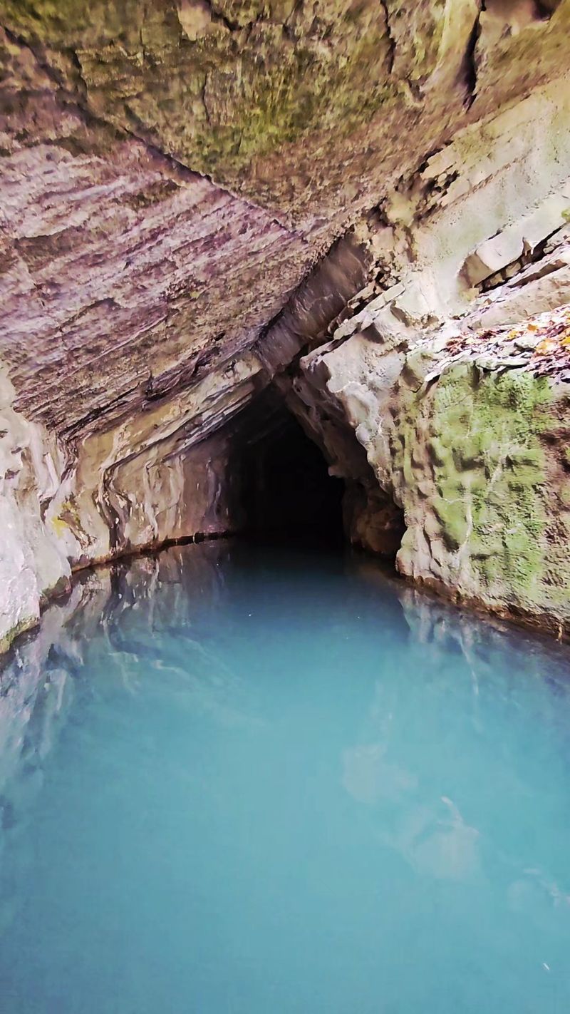 Penn’s Cave & Wildlife Park