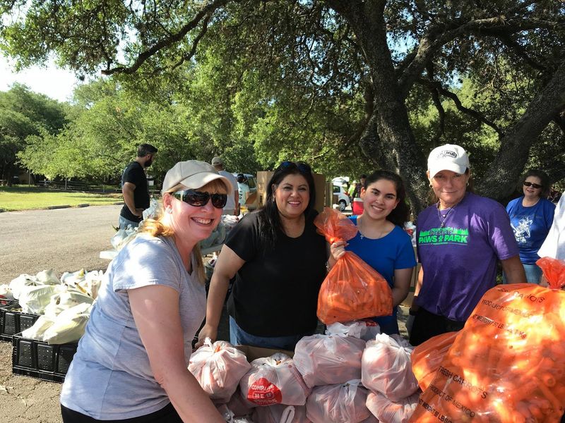 St. Francis Episcopal Church Pumpkin Patch