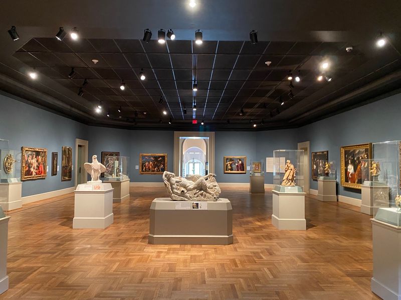 Saint Louis Art Museum