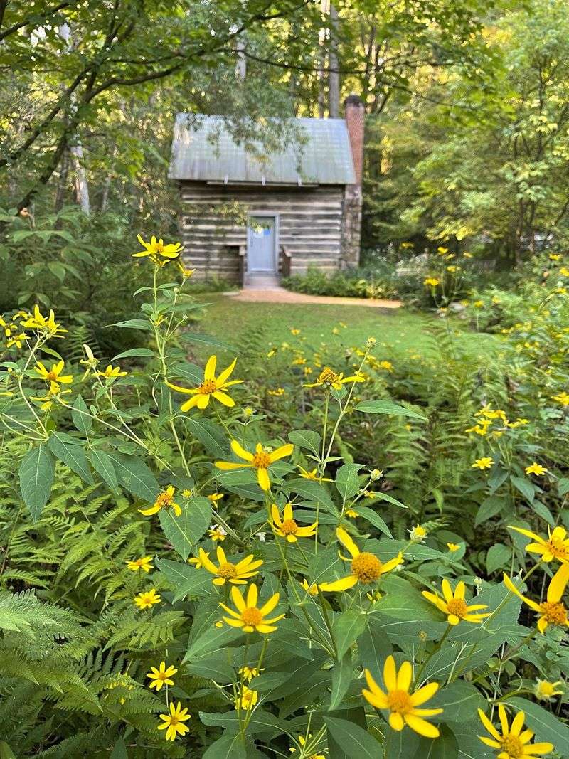 North Carolina Botanical Garden