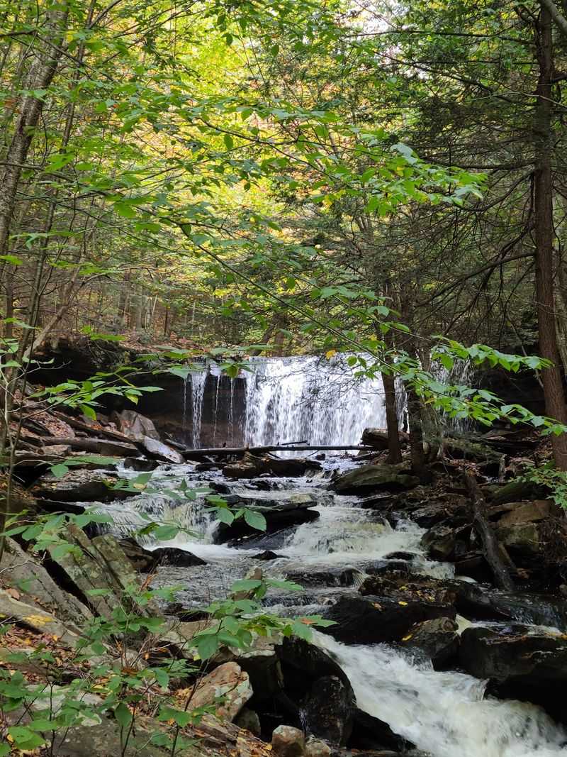 Ganoga Falls