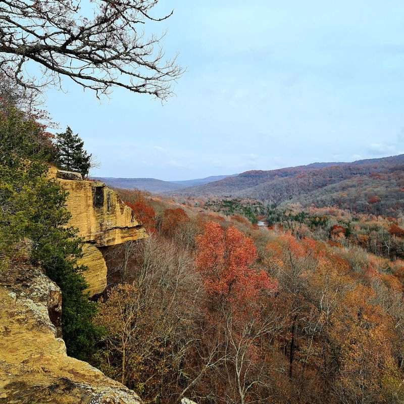Yellow Rock Overlook