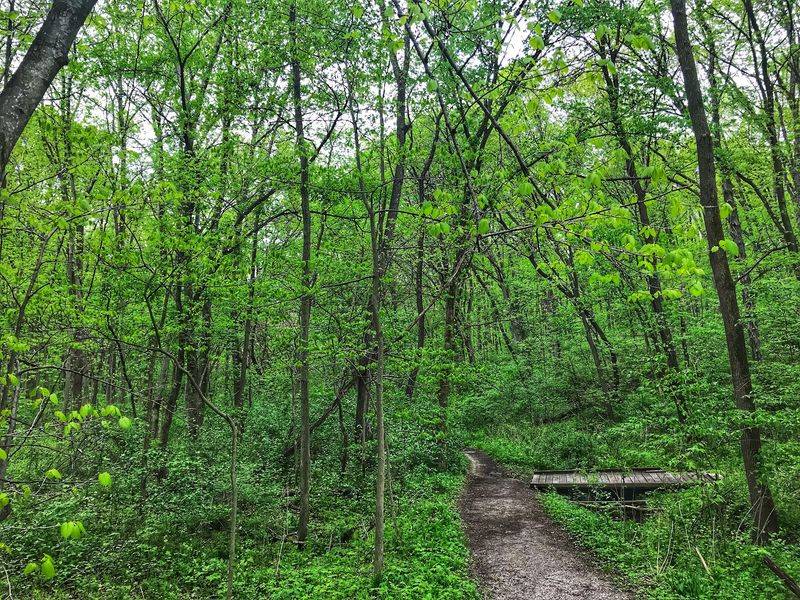 Hickory Hill Park, Iowa City