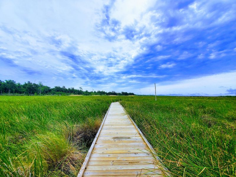 Your Feet Will Thank You On The Marsh Boardwalk