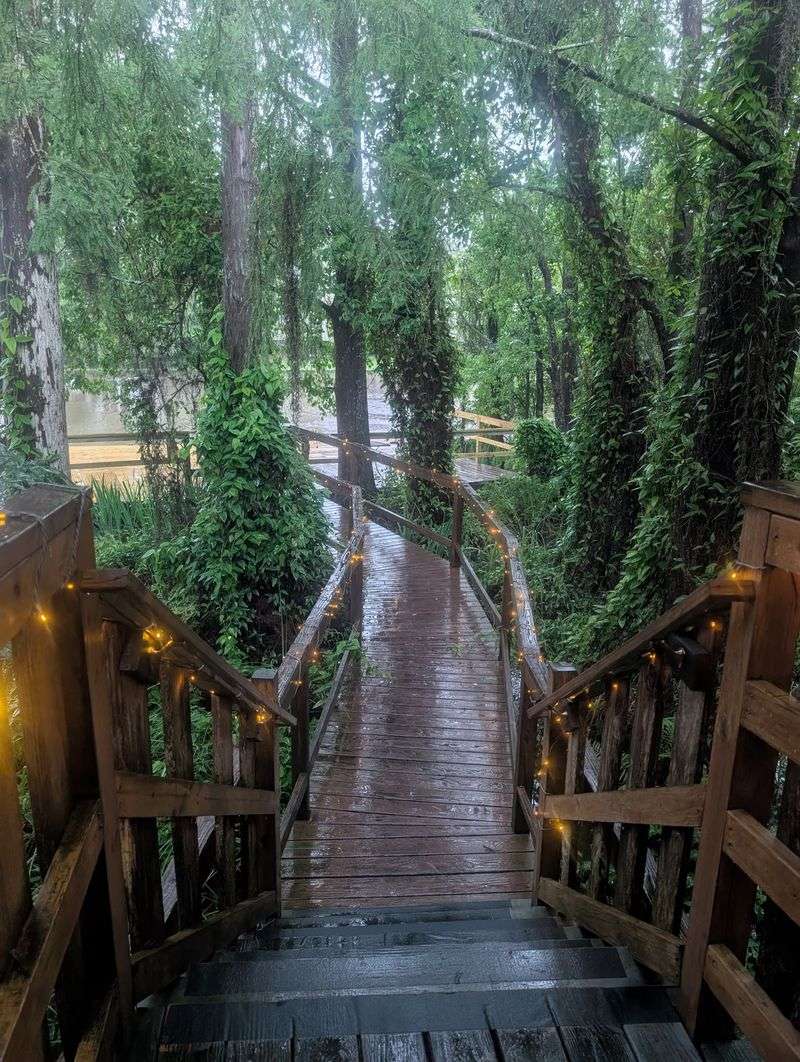 Smart Planning Makes Your Bayou Visit Even Sweeter