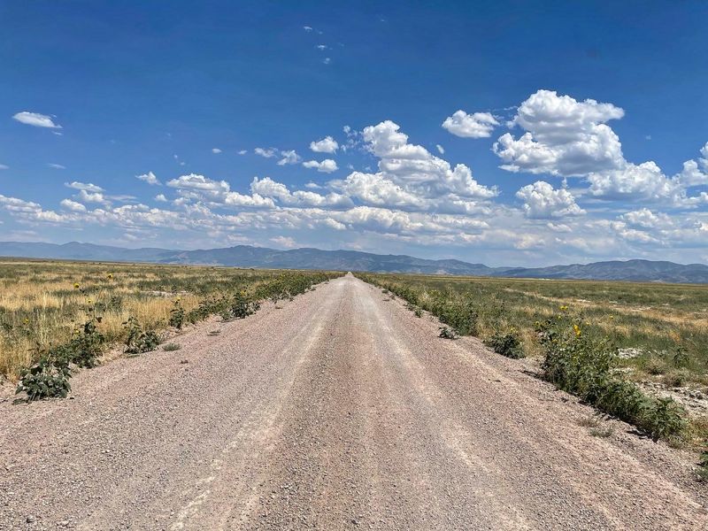 Plan The Desert Drive Before The Saturday Detour