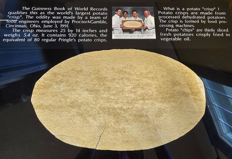 The Guinness World Record Potato Crisp And Other Unusual Museum Exhibits