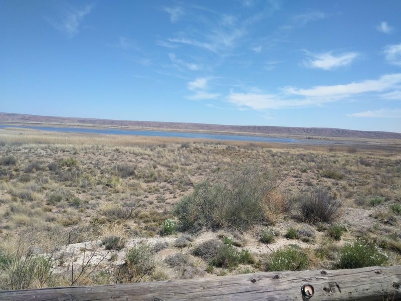 Where Endless Wetlands Meet The Desert