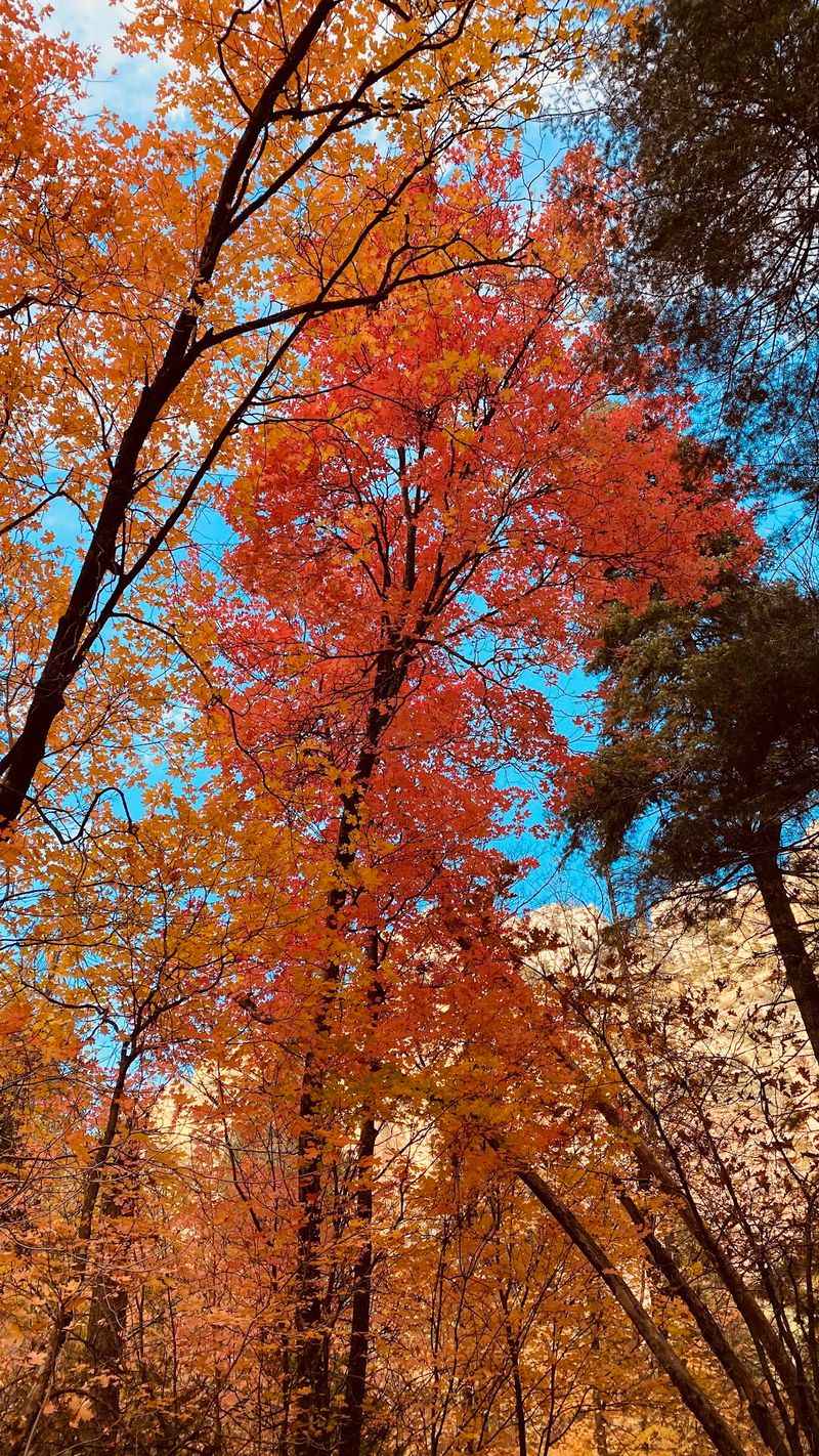 Autumn Puts On Its Best Show Down Here