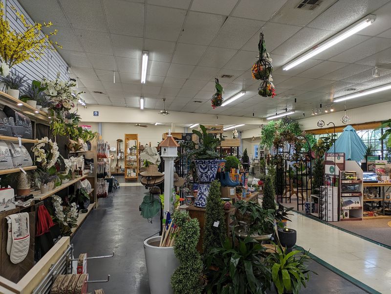 Your Living Room Might Start Asking For A Jungle