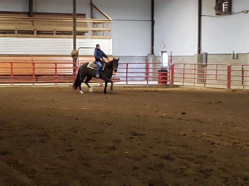 You'll See Why Horse People Keep Hauling Their Trailers Here