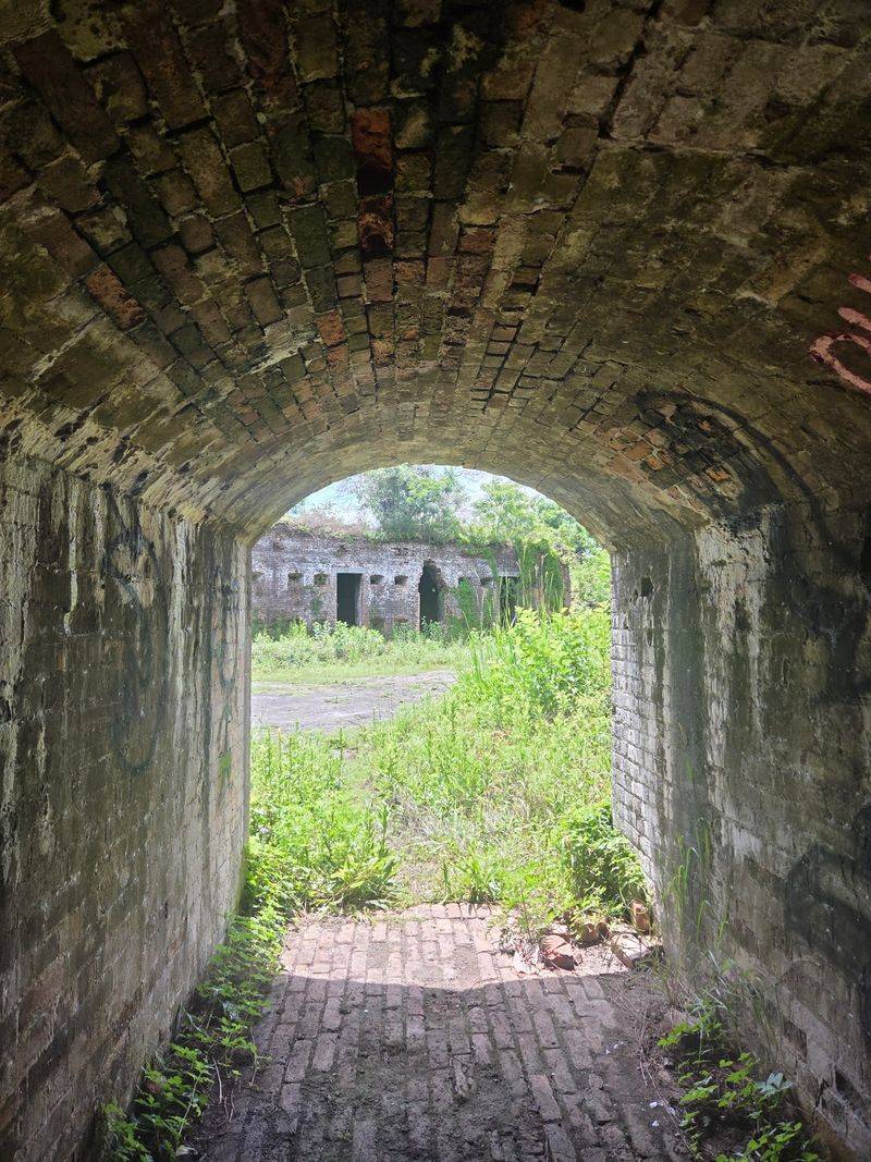 Hollywood Scouts Fell Hard For These Spooky Walls