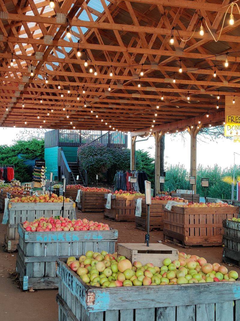 Your Apple Bag Has More Than A Dozen Options Waiting
