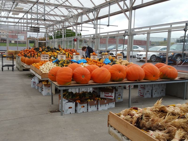 From Roadside Stand to Regional Landmark