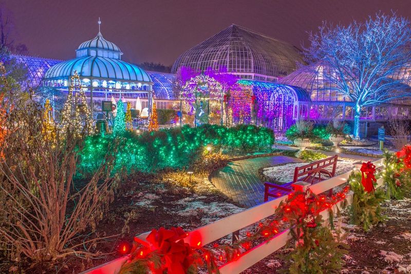 After Dark, The Outdoor Light Garden Takes Over