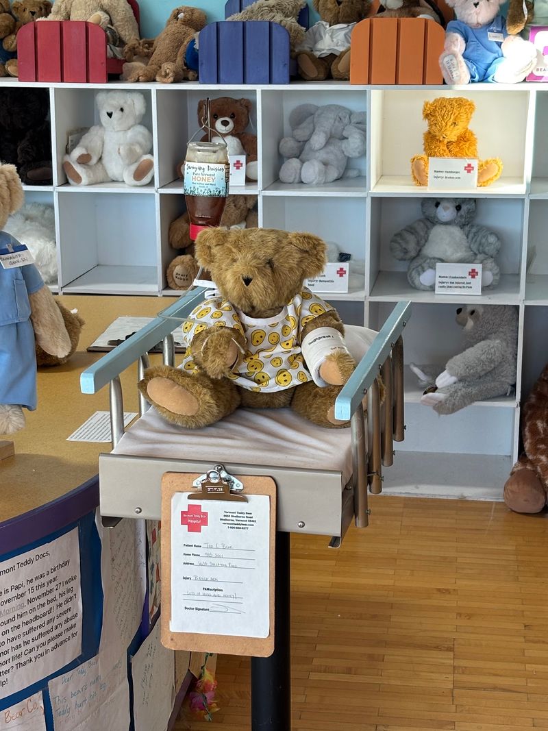 Broken Bears Get Real Care In The Bear Hospital
