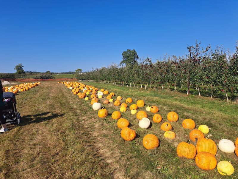 Smart Timing Makes Your October Visit Even Sweeter